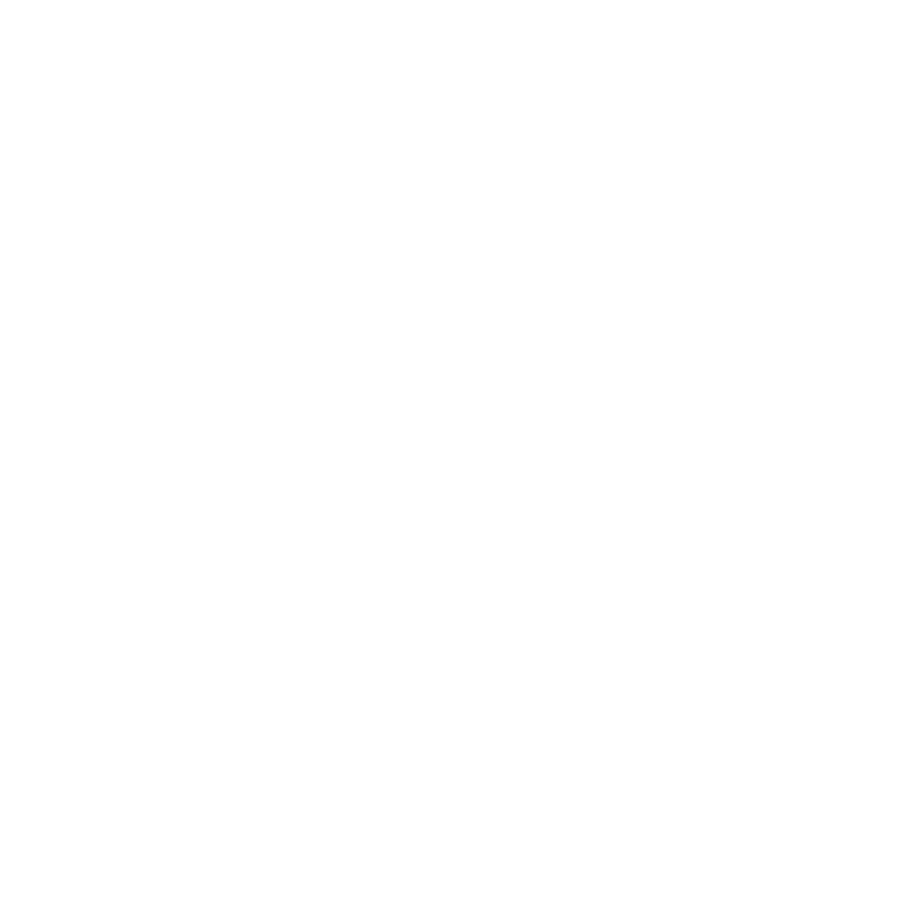 Logo Influencer Flix